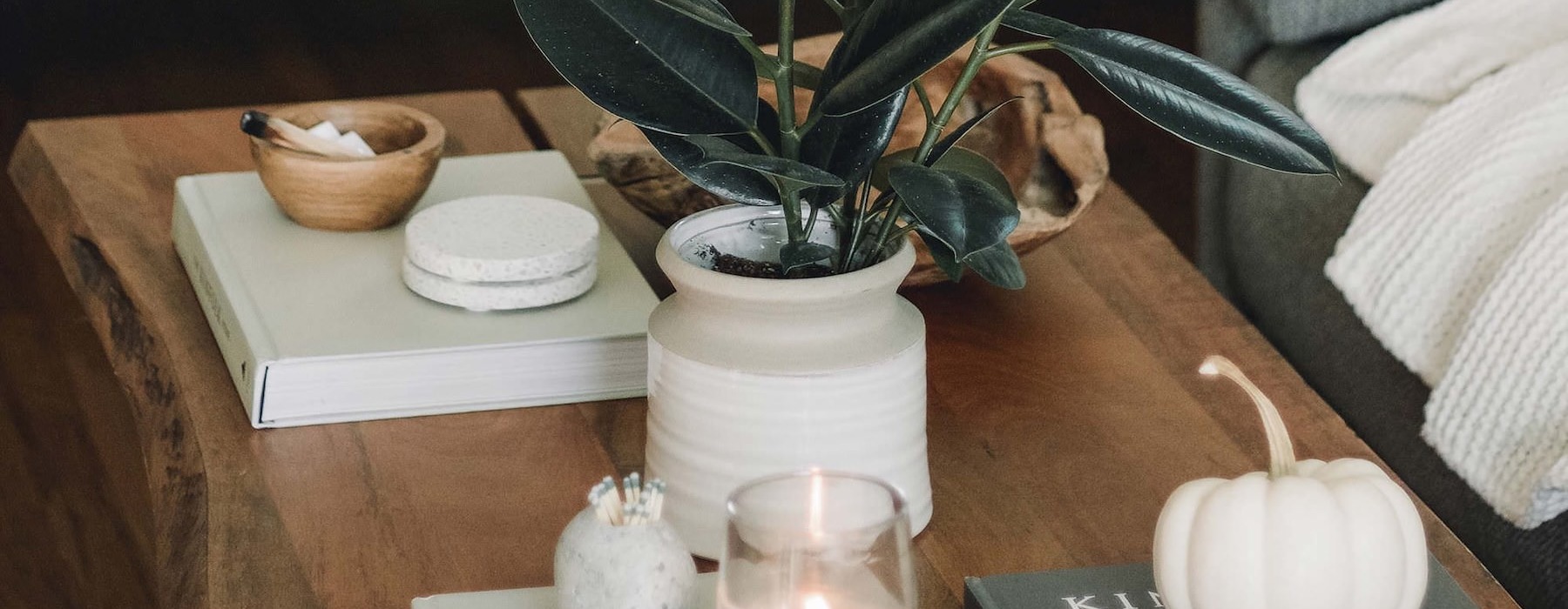 coffee table decorated with books, a potted plant, a candle and other knick-knacks